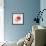 Translucent Poppy II-Lanie Loreth-Framed Art Print displayed on a wall