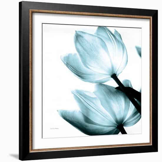 Translucent Tulips II Sq Aqua Crop-Debra Van Swearingen-Framed Art Print