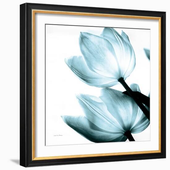 Translucent Tulips II Sq Aqua Crop-Debra Van Swearingen-Framed Art Print