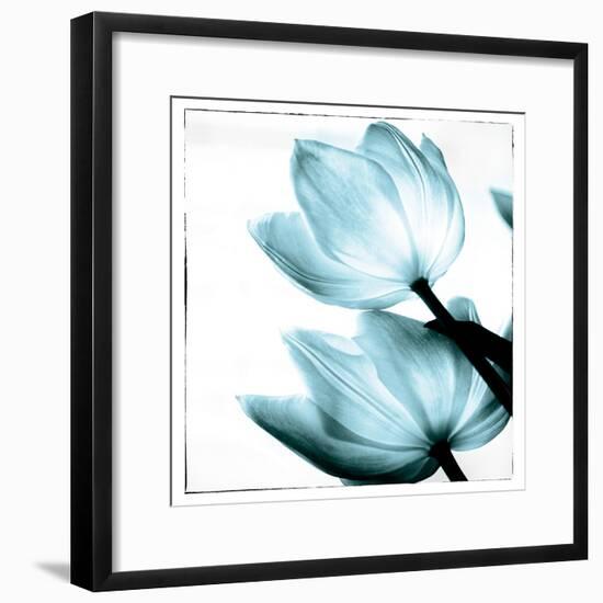 Translucent Tulips II Sq Aqua-Debra Van Swearingen-Framed Art Print
