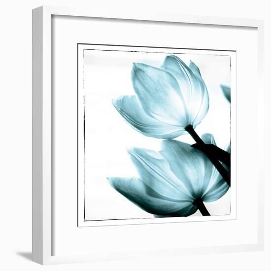 Translucent Tulips II Sq Aqua-Debra Van Swearingen-Framed Art Print