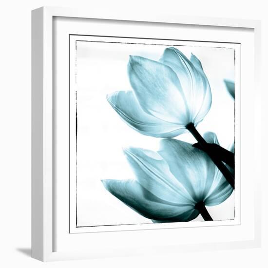 Translucent Tulips II Sq Aqua-Debra Van Swearingen-Framed Art Print