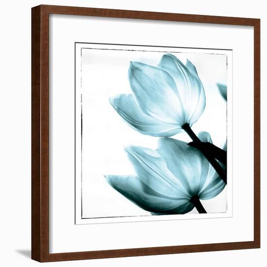 Translucent Tulips II Sq Aqua-Debra Van Swearingen-Framed Art Print