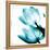 Translucent Tulips II Sq Teal-Debra Van Swearingen-Framed Stretched Canvas