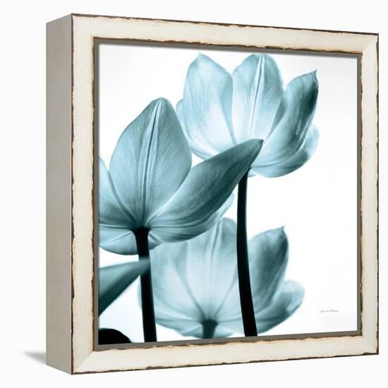 Translucent Tulips III Sq Aqua Crop-Debra Van Swearingen-Framed Stretched Canvas