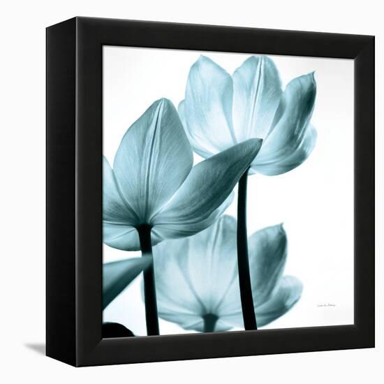 Translucent Tulips III Sq Aqua Crop-Debra Van Swearingen-Framed Stretched Canvas