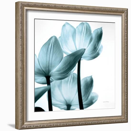 Translucent Tulips III Sq Aqua Crop-Debra Van Swearingen-Framed Art Print