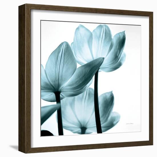 Translucent Tulips III Sq Aqua Crop-Debra Van Swearingen-Framed Art Print