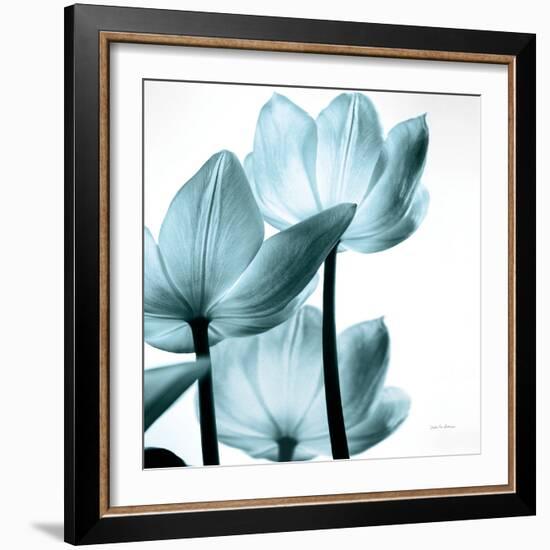 Translucent Tulips III Sq Aqua Crop-Debra Van Swearingen-Framed Art Print