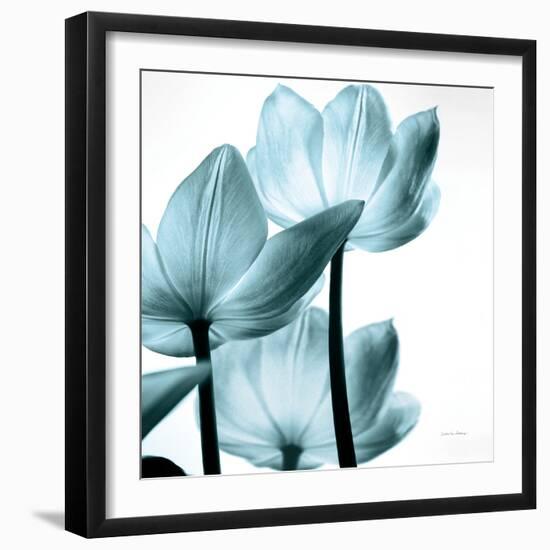 Translucent Tulips III Sq Aqua Crop-Debra Van Swearingen-Framed Art Print