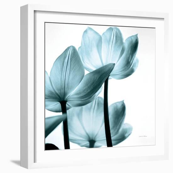 Translucent Tulips III Sq Aqua Crop-Debra Van Swearingen-Framed Art Print