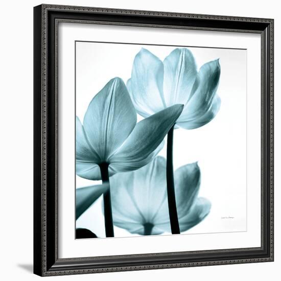 Translucent Tulips III Sq Aqua Crop-Debra Van Swearingen-Framed Art Print