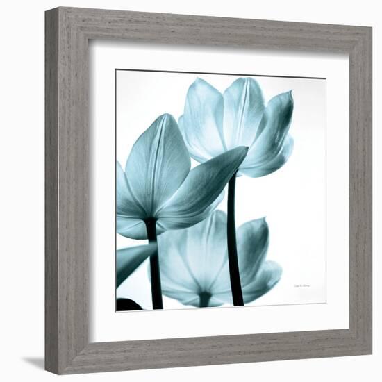 Translucent Tulips III Sq Aqua Crop-Debra Van Swearingen-Framed Art Print