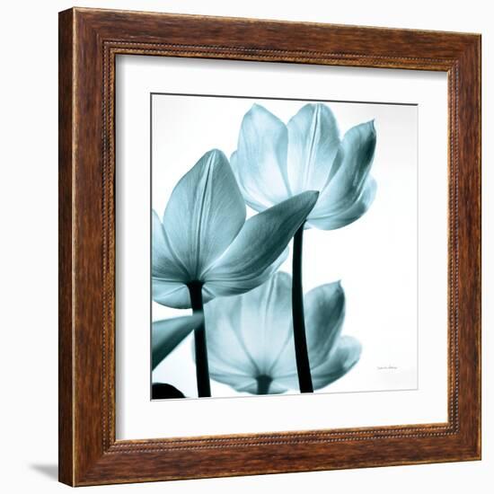 Translucent Tulips III Sq Aqua Crop-Debra Van Swearingen-Framed Art Print