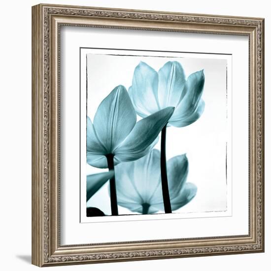 Translucent Tulips III Sq Aqua-Debra Van Swearingen-Framed Art Print