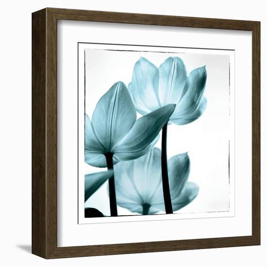 Translucent Tulips III Sq Aqua-Debra Van Swearingen-Framed Art Print