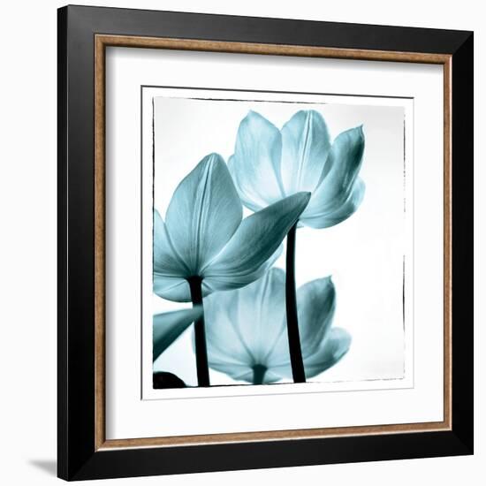 Translucent Tulips III Sq Aqua-Debra Van Swearingen-Framed Art Print