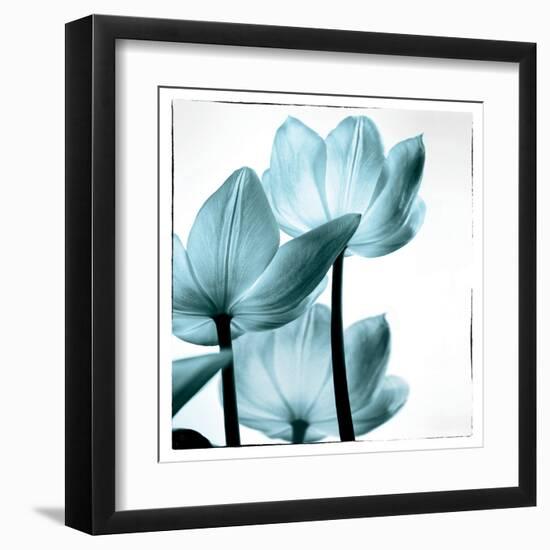 Translucent Tulips III Sq Aqua-Debra Van Swearingen-Framed Art Print