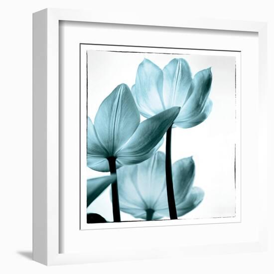 Translucent Tulips III Sq Aqua-Debra Van Swearingen-Framed Art Print