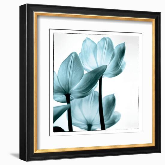 Translucent Tulips III Sq Aqua-Debra Van Swearingen-Framed Art Print