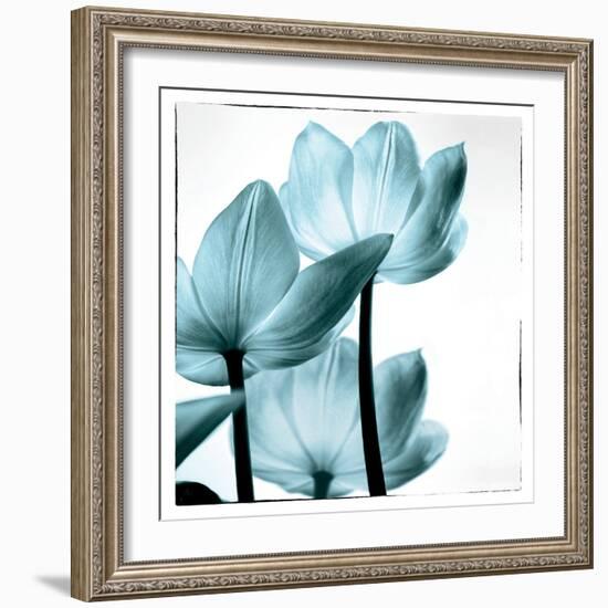 Translucent Tulips III Sq Aqua-Debra Van Swearingen-Framed Art Print