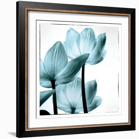 Translucent Tulips III Sq Aqua-Debra Van Swearingen-Framed Art Print