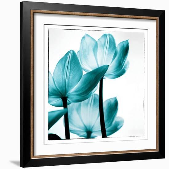 Translucent Tulips III Sq Teal-Debra Van Swearingen-Framed Art Print