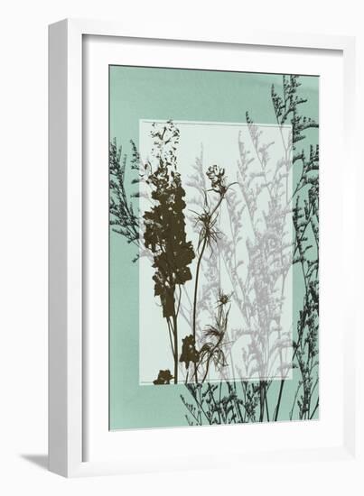 Translucent Wildflowers I-Jennifer Goldberger-Framed Art Print