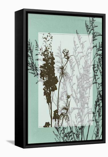 Translucent Wildflowers I-Jennifer Goldberger-Framed Stretched Canvas