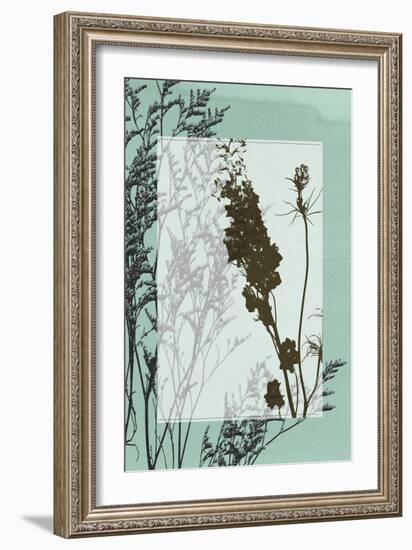 Translucent Wildflowers II-Jennifer Goldberger-Framed Art Print