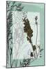 Translucent Wildflowers II-Jennifer Goldberger-Mounted Art Print