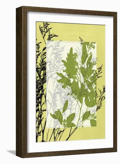 Translucent Wildflowers IV-Jennifer Goldberger-Framed Art Print