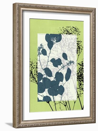 Translucent Wildflowers VII-Jennifer Goldberger-Framed Art Print