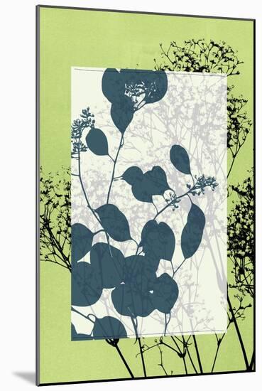 Translucent Wildflowers VII-Jennifer Goldberger-Mounted Art Print