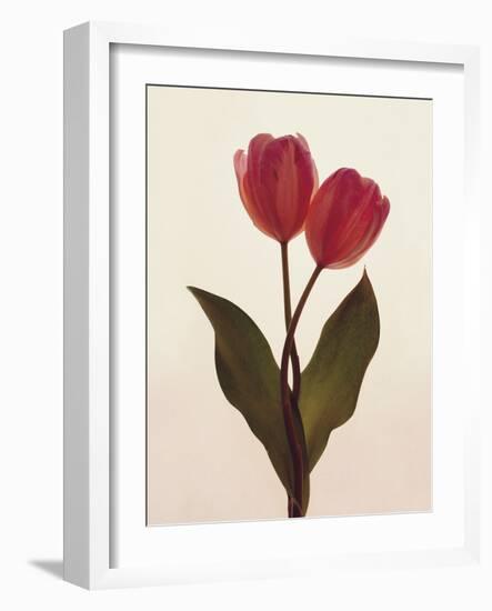 Transparent Beauty I-Katja Marzahn-Framed Giclee Print