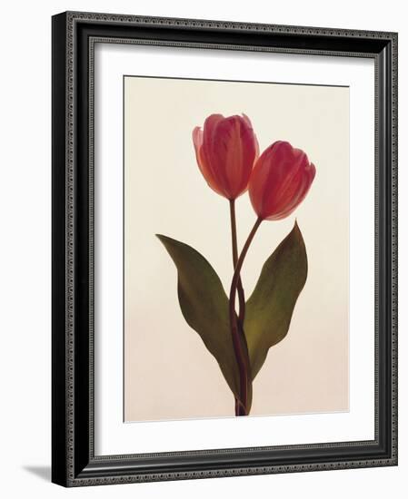 Transparent Beauty I-Katja Marzahn-Framed Giclee Print