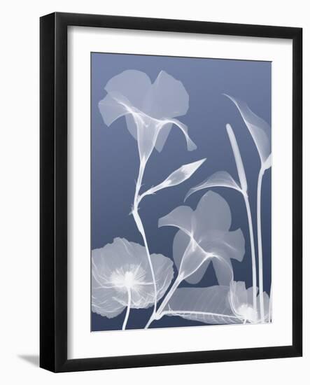 Transparent Flora 4-Albert Koetsier-Framed Art Print