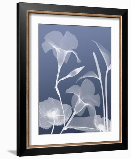 Transparent Flora 4-Albert Koetsier-Framed Art Print