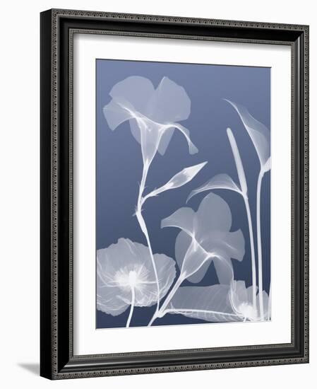 Transparent Flora 4-Albert Koetsier-Framed Art Print