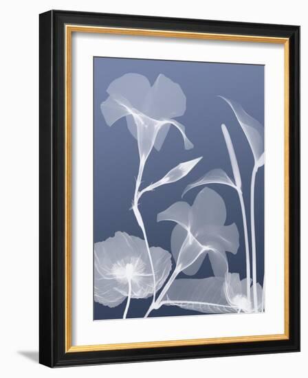 Transparent Flora 4-Albert Koetsier-Framed Art Print