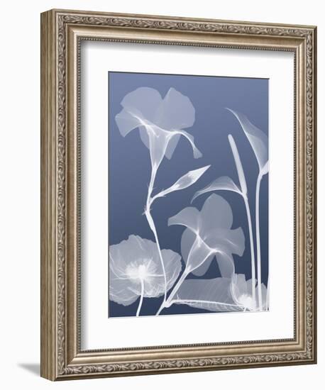 Transparent Flora 4-Albert Koetsier-Framed Art Print