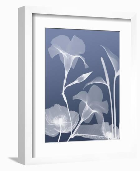 Transparent Flora 4-Albert Koetsier-Framed Art Print