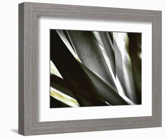 Transparent-Andrew Michaels-Framed Photographic Print