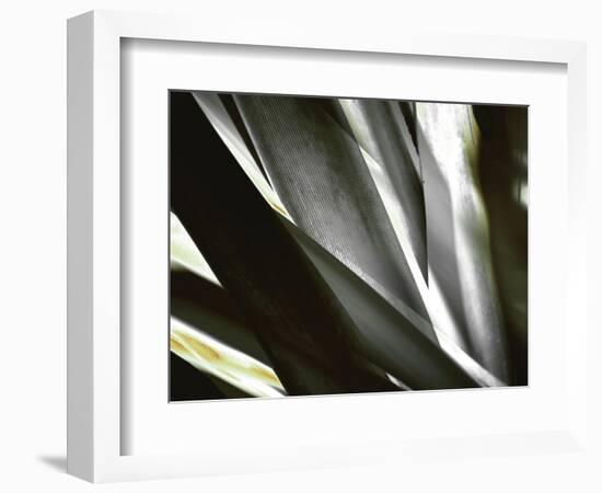 Transparent-Andrew Michaels-Framed Photographic Print