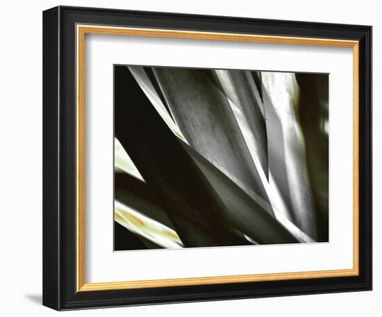 Transparent-Andrew Michaels-Framed Photographic Print