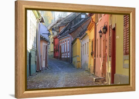 Transylvania, Romania, Mures County, Sighisoara, cobblestone residential streets.-Emily Wilson-Framed Premier Image Canvas