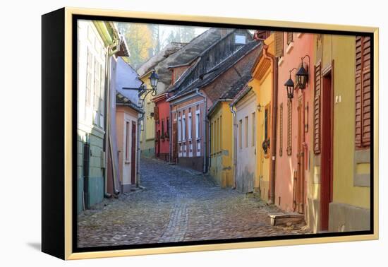 Transylvania, Romania, Mures County, Sighisoara, cobblestone residential streets.-Emily Wilson-Framed Premier Image Canvas