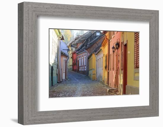 Transylvania, Romania, Mures County, Sighisoara, cobblestone residential streets.-Emily Wilson-Framed Photographic Print