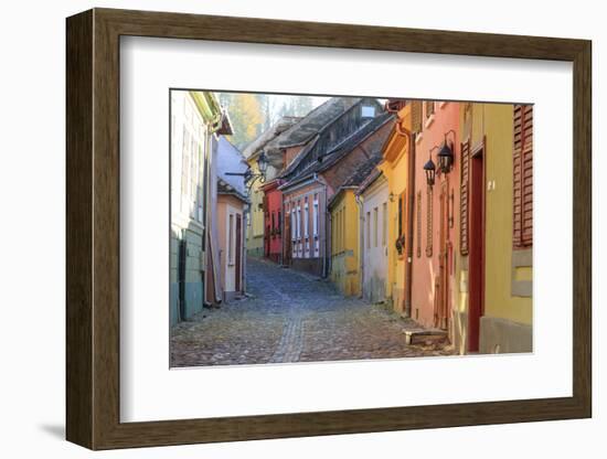 Transylvania, Romania, Mures County, Sighisoara, cobblestone residential streets.-Emily Wilson-Framed Photographic Print