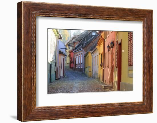 Transylvania, Romania, Mures County, Sighisoara, cobblestone residential streets.-Emily Wilson-Framed Photographic Print